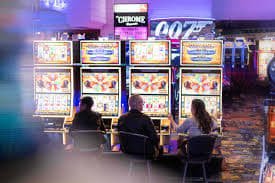 bet5055 vip bet5055 vip